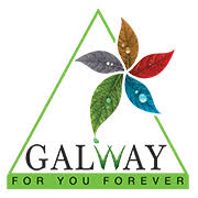 Logo47